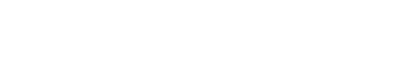 Netbringer, Inc.
